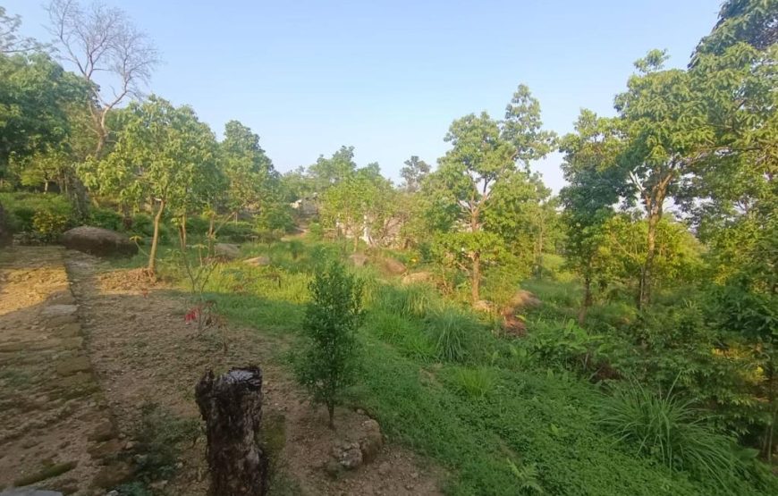 Ibankordor Jungle Resort