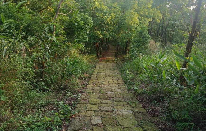 Ibankordor Jungle Resort