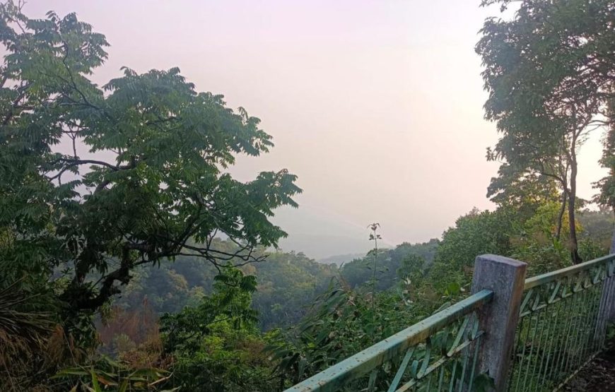 Ibankordor Jungle Resort